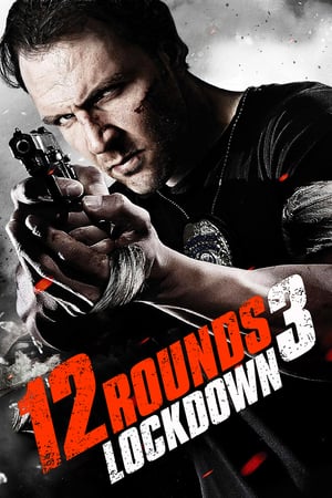 12 Rounds 3 Lockdown 2015 Dual Audio | Hindi Full Movie BluRay [780MB]