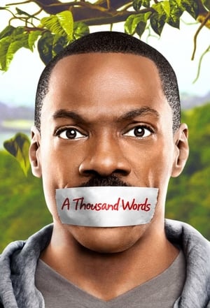 A Thousand Words (2012) Dual Audio | Hindi Full Movie BluRay [800MB]