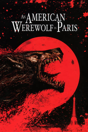 An American Werewolf in Paris 1997 Dual Audio | Hindi Full Movie BluRay 300MB