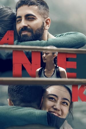 Anek 2022 Movie HDRip | Hindi Full Movie – 480p