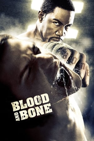 Blood and Bone (2009) Dual Audio | Hindi Full Movie BluRay 300MB