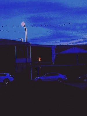 Break (2019) Dual Audio | Hindi Full Movie BluRay 300MB