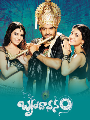 Brindavanam (The Super Khiladi) (2010) ( – Telugu) Dual Audio | Hindi Full Movie UnCut HDRip 600MB