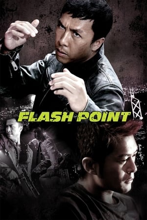 Flash Point (2007) Dual Audio | Hindi Full Movie BluRay 300MB