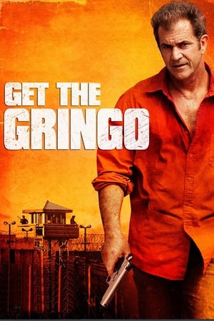 Get the Gringo (2012) Dual Audio | Hindi Full Movie BluRay [850MB]