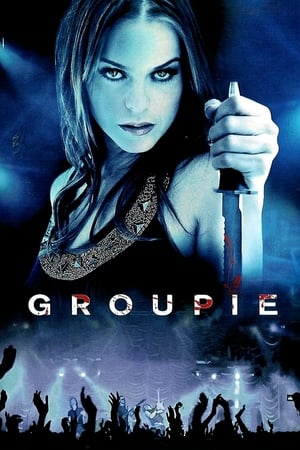 Groupie (2010) Dual Audio | Hindi Full Movie BluRay [1.1GB]