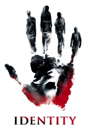 Identity 2003 Dual Audio | Hindi Full Movie BluRay [700MB]