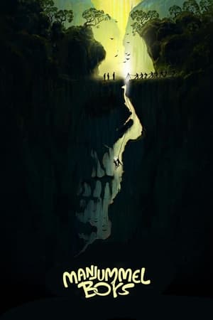 Manjummel Boys 2024 [ (ORG) + Malayalam] HDRip | Hindi Full Movie – 480p – 1080p