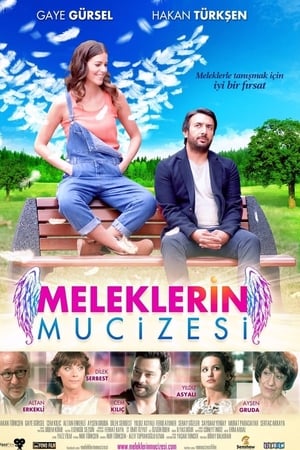 Meleklerin mucizesi (2014) Dual Audio | Hindi Full Movie Web-DL 280MB
