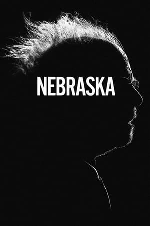 Nebraska 2013 Dual Audio | Hindi Full Movie BluRay 300MB