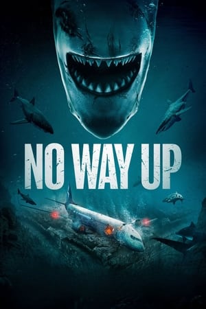 No Way Up (2024) Dual Audio HDRip | Hindi Full Movie – 480p – 1080p