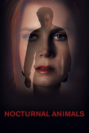 Nocturnal Animals (2016) Dual Audio | Hindi Full Movie BluRay 380MB