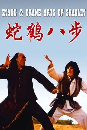 Snake and Crane Arts of Shaolin 1978 Dual Audio | Hindi Full Movie BluRay 300MB
