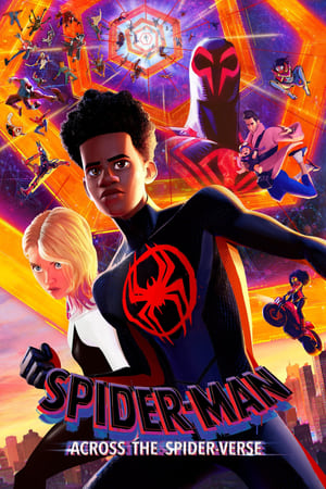 Spider-Man: Across the Spider-Verse 2023 (ORG) HDRip | Hindi Full Movie | 480p