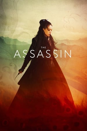 The Assassin 2015 Dual Audio | Hindi Full Movie BluRay [1.1GB]