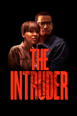 The Intruder (2019) Dual Audio | Hindi Full Movie Web-DL [960MB]