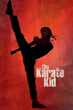 The Karate Kid 2010 Dubbed | Hindi Full Movie Bluray 1GB Movie
