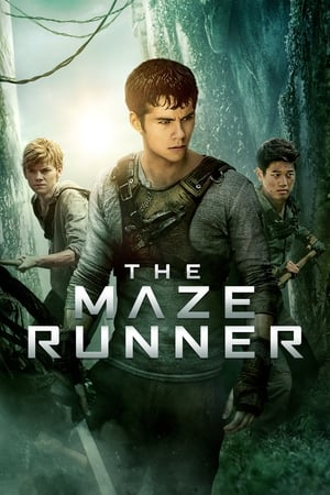 The Maze Runner (2014) Dual Audio | Hindi Full Movie BluRay 400MB