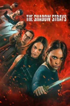 The Shadow Strays 2024 Dual Audio HDRip | Hindi Full Movie – 720p – 480p