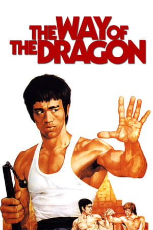 The Way of the Dragon (1972) Dual Audio | Hindi Full Movie BluRay 300MB