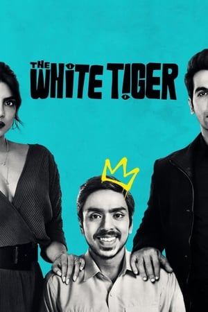 The White Tiger (2021) Movie | Hindi Full Movie HDRip x264 [990MB]