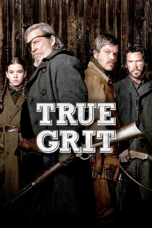 True Grit (2010) Dual Audio | Hindi Full Movie BluRay 350MB